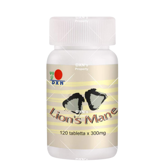 Crinière de lion produit