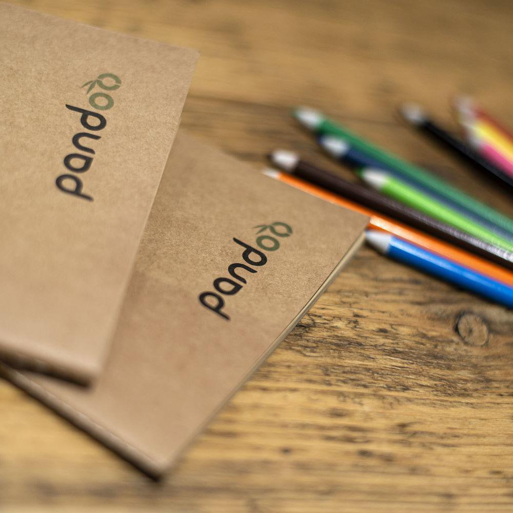 5 cahiers 100% pulpe de bambou A5