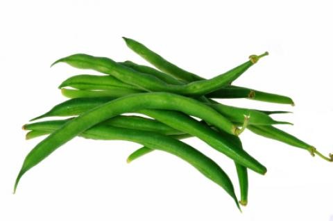 Haricot Vert BIO 500G