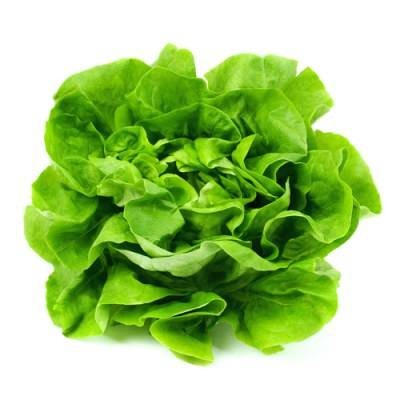 Laitue BIO 1 pièce