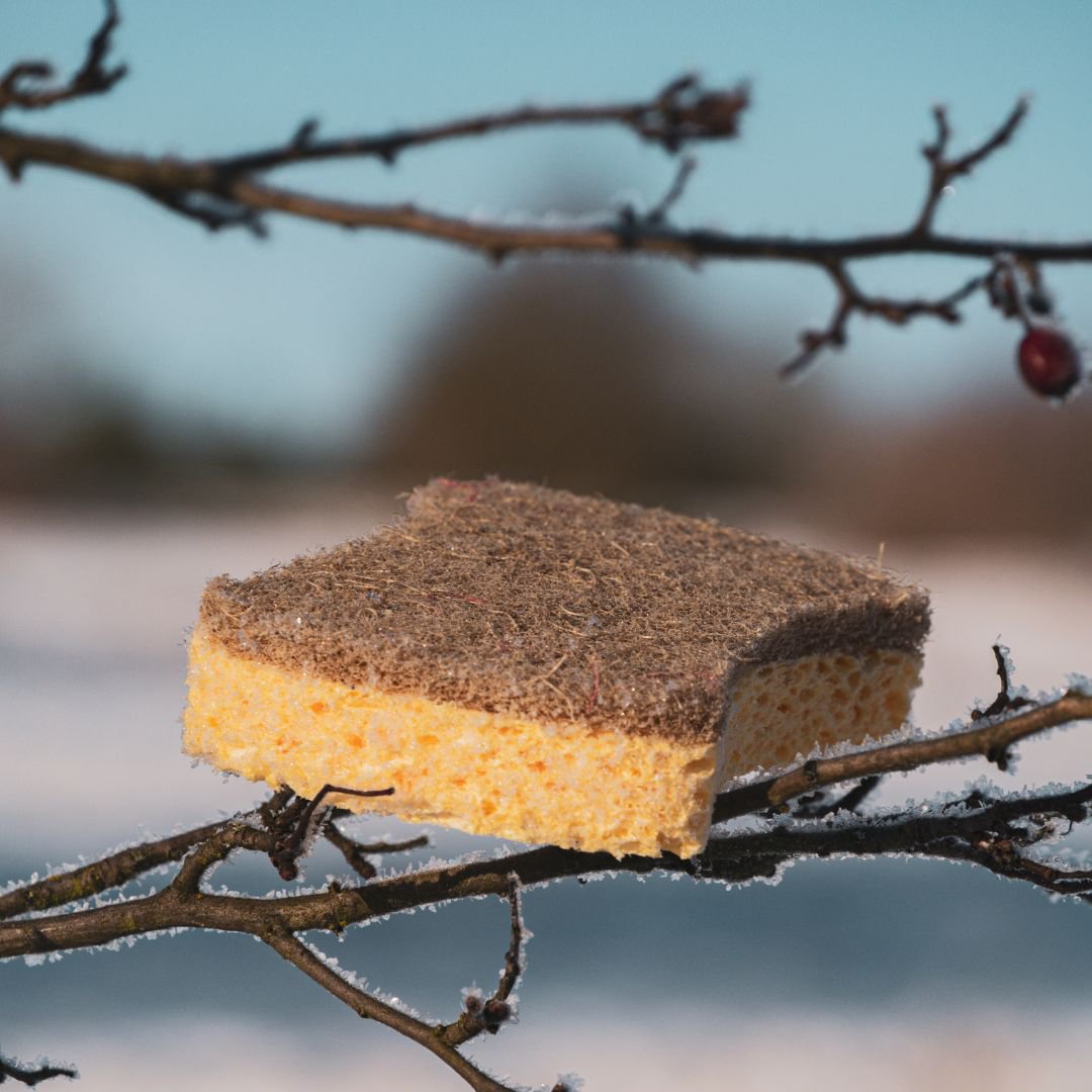 Éponge de ménage | Éponge à vaisselle durable