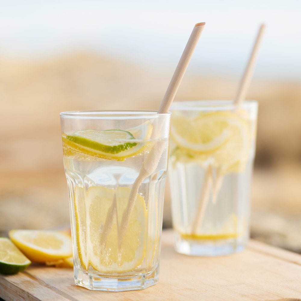 Pailles jetables en fibres végétales 50 pièces