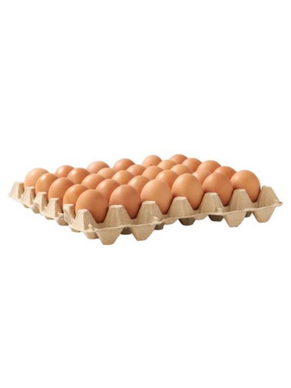 Oeufs Bio Plateau de 1 x 30œufs