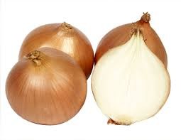 Oignons emballés Bio 1KG BE