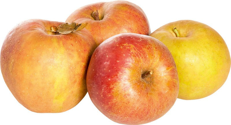 Pomme Boskoop Rouge 1KG - BIO