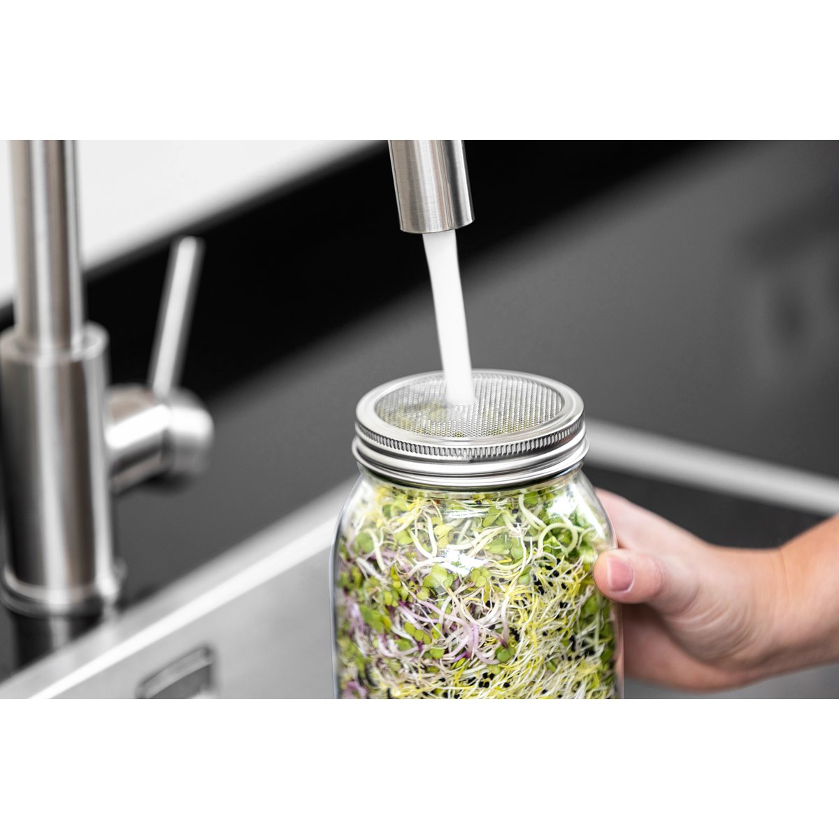 Pot de germination - 1000 ml