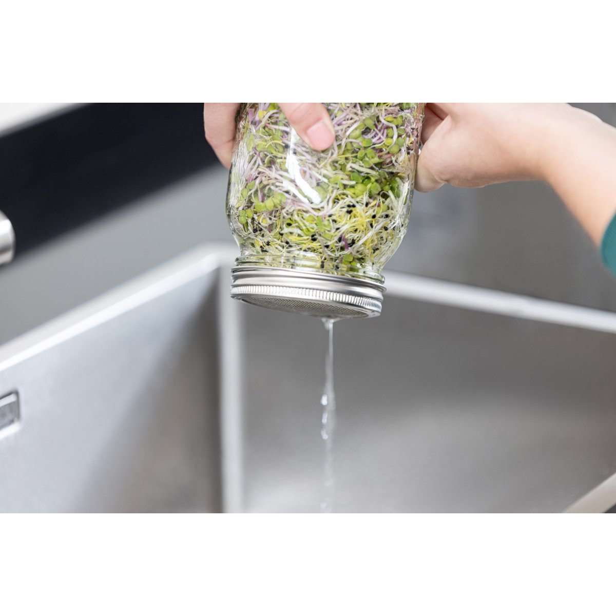 Pot de germination - 1000 ml