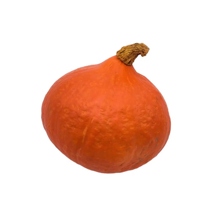 Potimarron Butternut BIO 1KG
