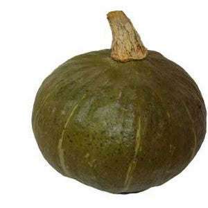 Potimarron Vert BIO 1 KG BE