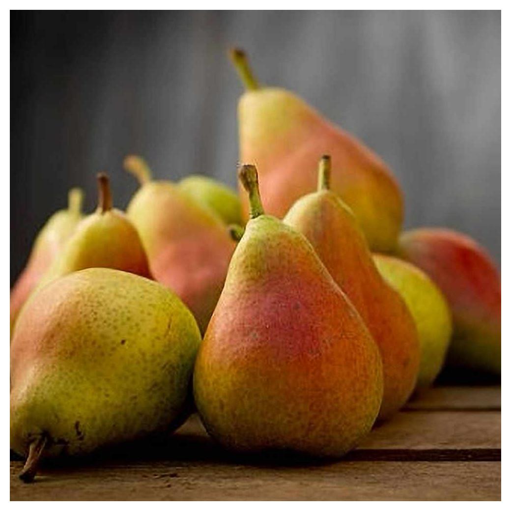 Poire Guyot bio fraîche, variété de saison sélectionnée par Holistibel.