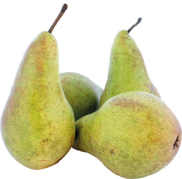 Poire Guyot bio fraîche, variété de saison sélectionnée par Holistibel.
