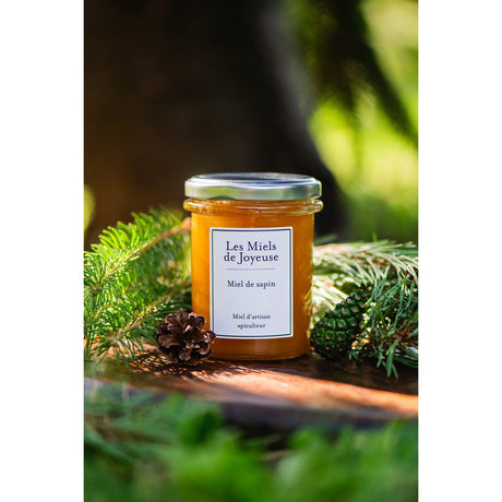 Miel de Sapin 250g