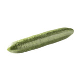 Concombre bio