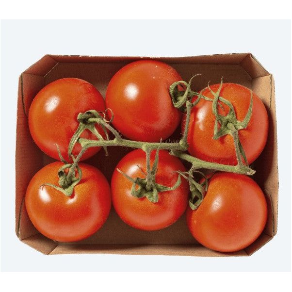 Tomates en grappe bio ( 1 kg)