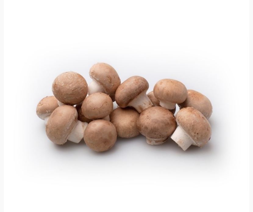 Champignon Chataigne  250GR NL