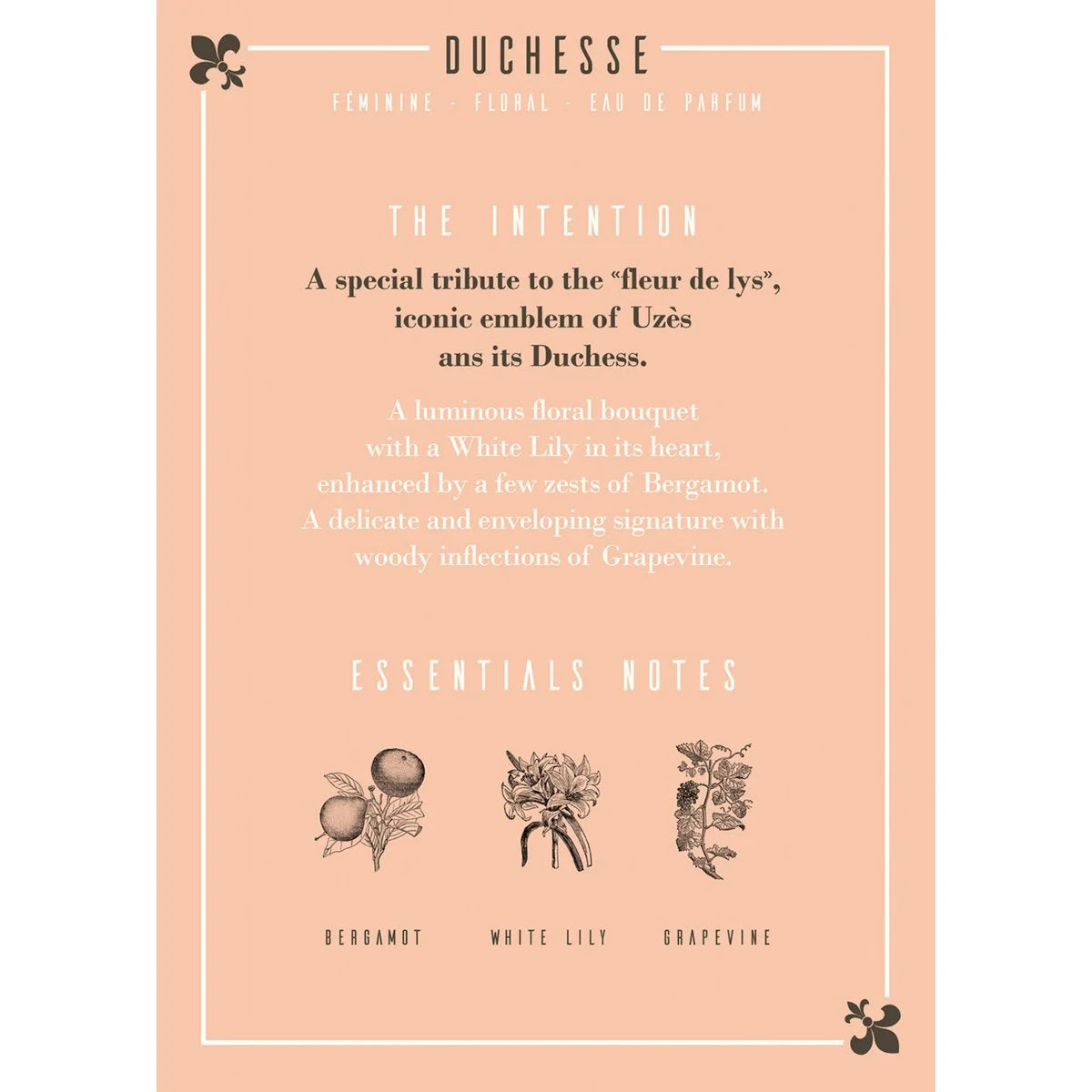 Duchesse Eau de Parfum 50 ml