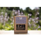 Thé Earl Grey