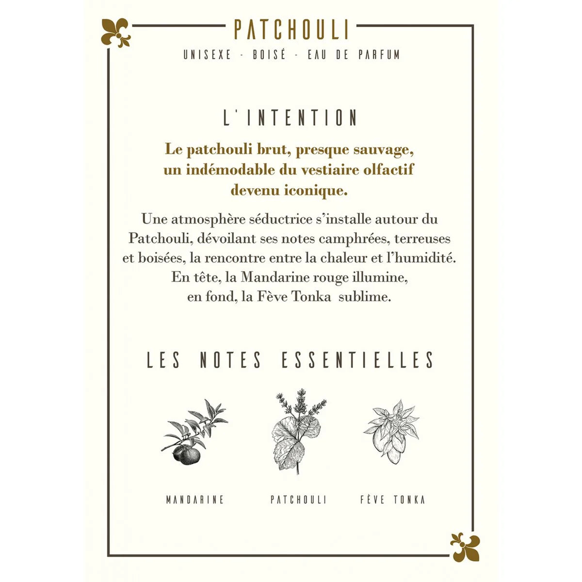 Patchouli Eau de Parfum 50ml