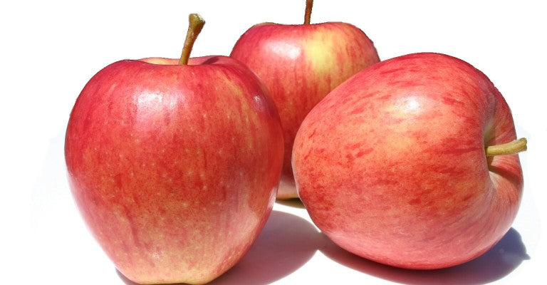 Pomme Jonagold BIO I 1KG BE