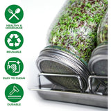 Pot de germination - 1000 ml