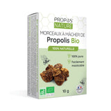 Propolis en morceaux à mâcher - BIO
