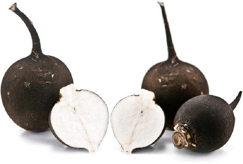 Radis Noir Rond BIO BE